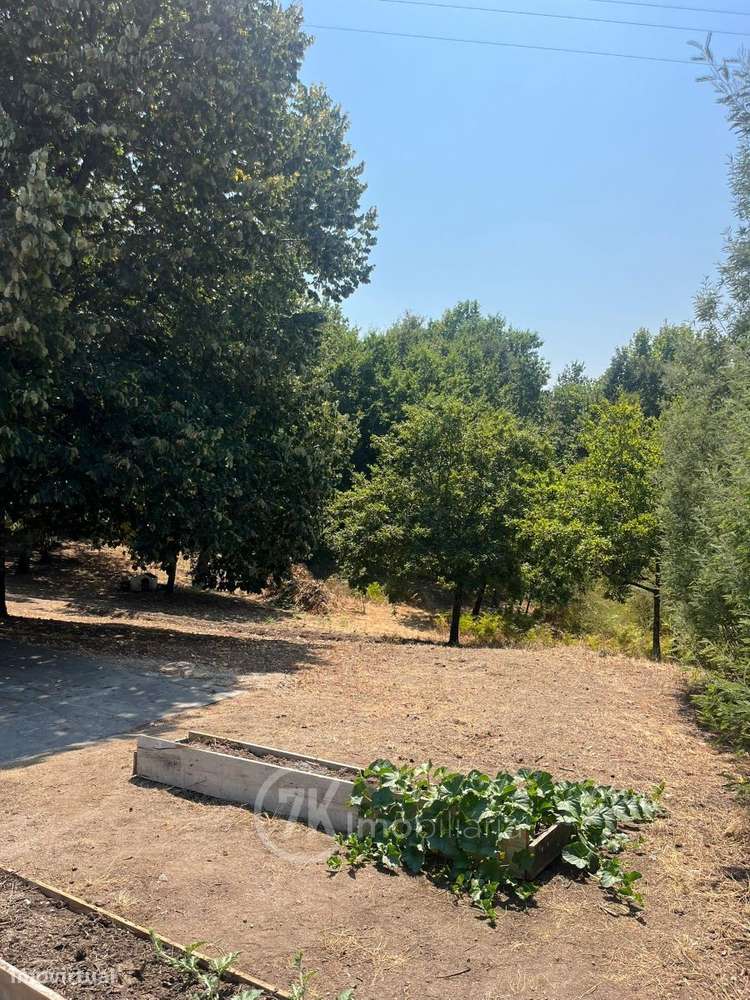 Terreno para  Construção - Grande imagem: 3/15