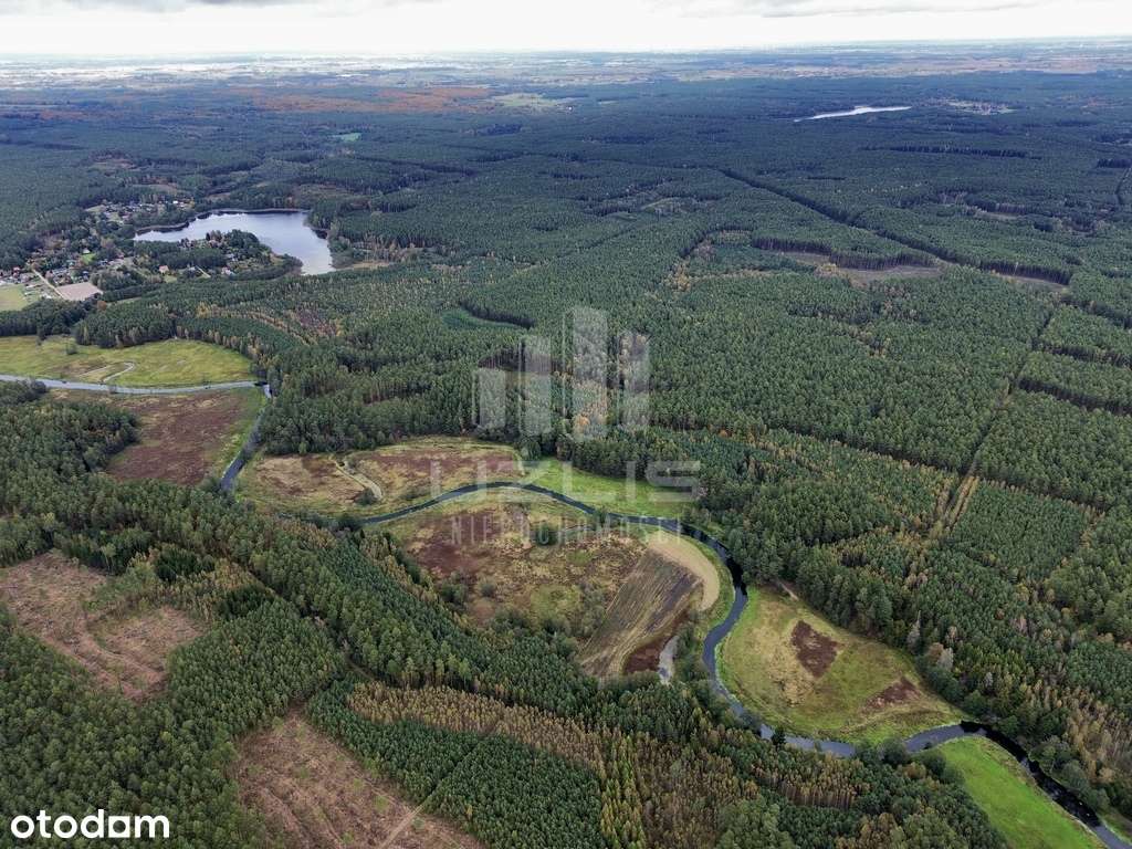 Działki po dwóch stronach brzegu rzeki Wdy - Pełny obrazek: 4/10