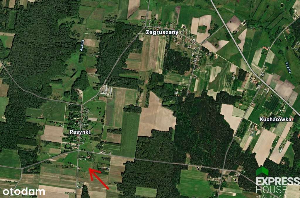 Atrakcyjna działka siedliskowa 3000m2, Pasynki - Pełny obrazek: 5/5