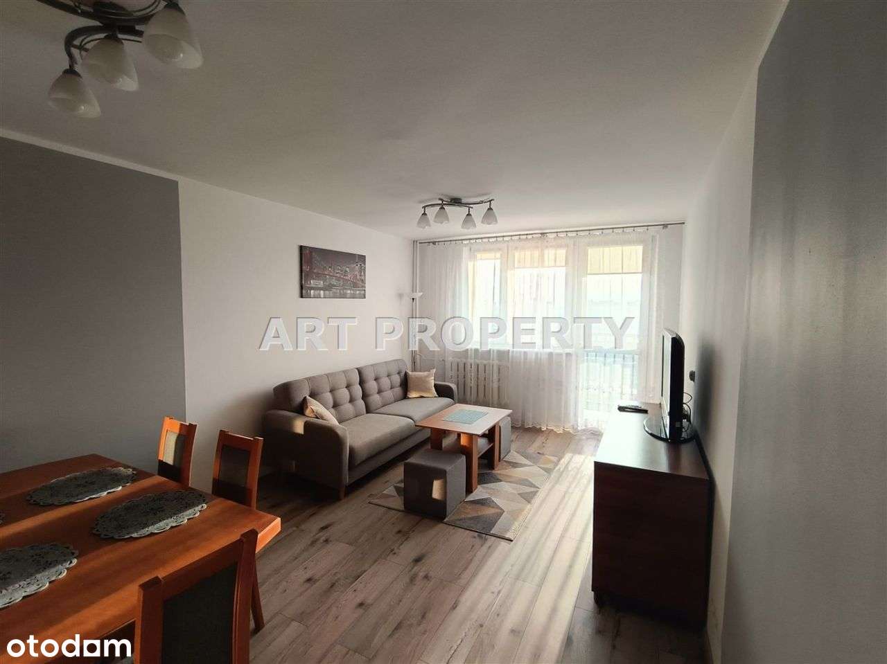 Mieszkanie Do Wynajęcia - Sosnowiec ! ! ! - Pełny obrazek: 2/15