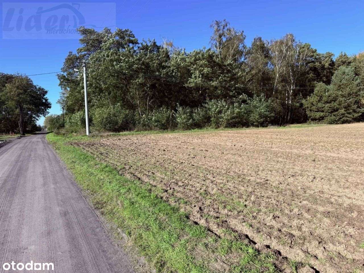 Działka, 2 099 m², Mrożewice-7