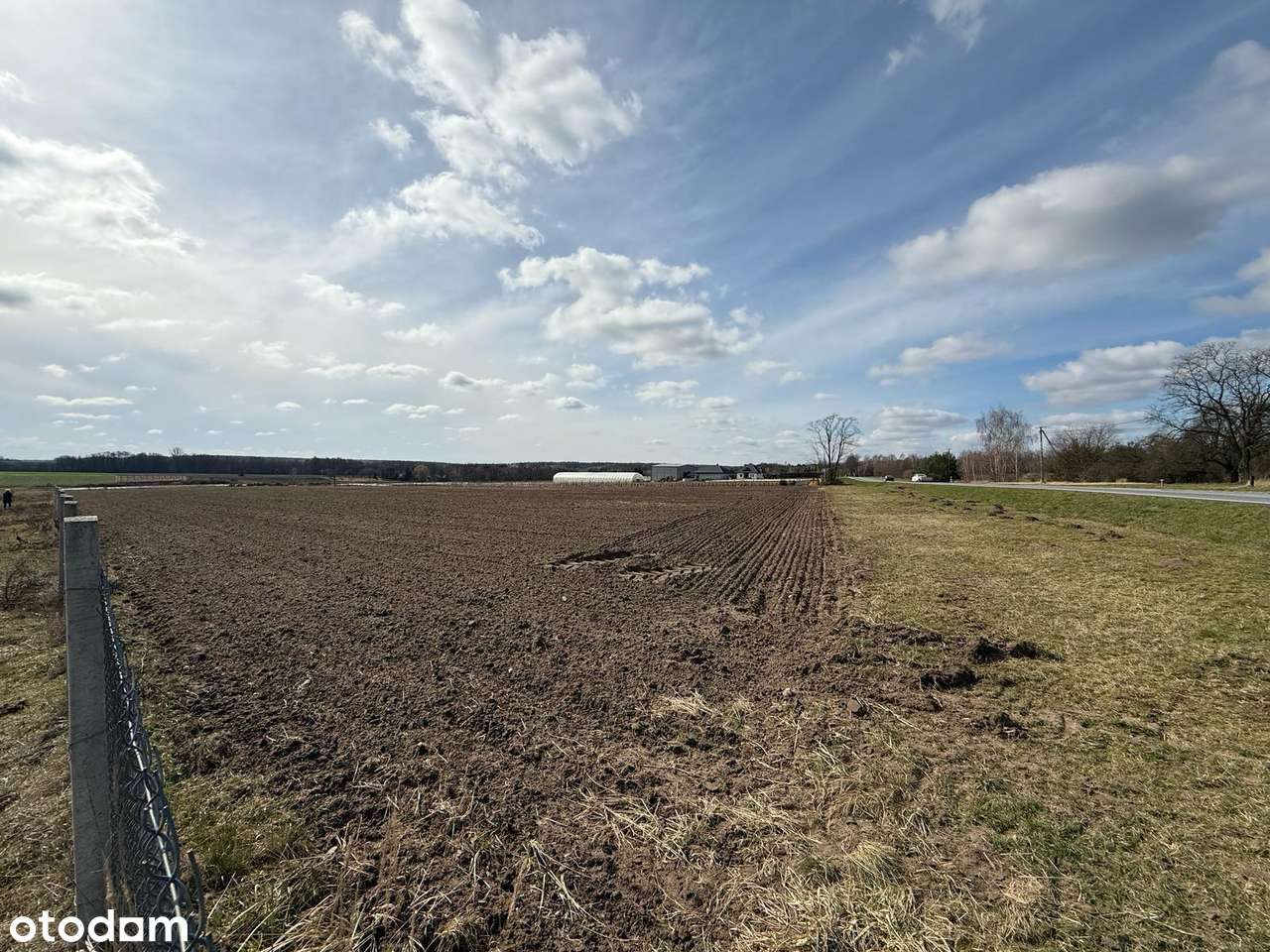 Okazja! Działka Wola Pękoszewska 25zł/m2 - Pełny obrazek: 4/15