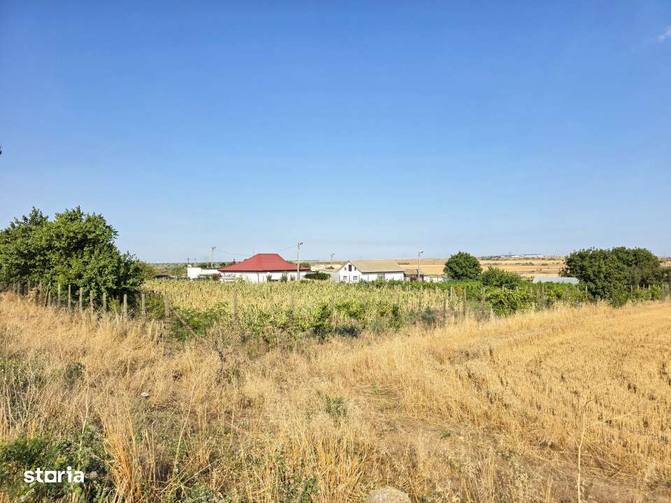 Ferma de vanzare – Oportunitate unica la doar 20 de minute de Consta - Imagine principală: 2/19