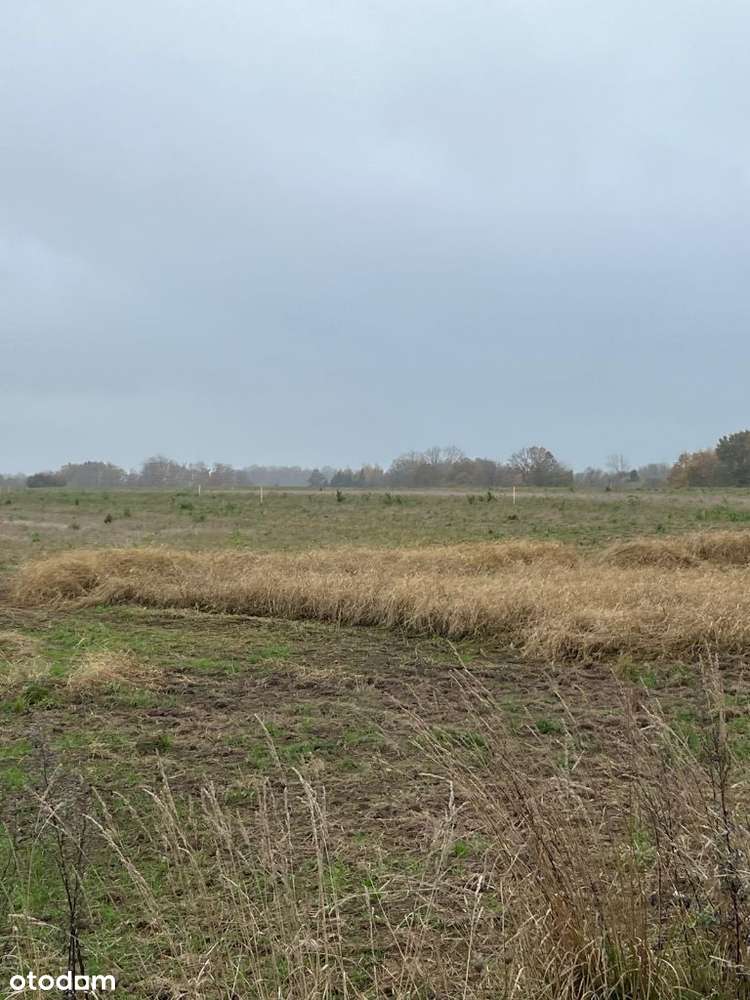 Łekno budowlana do morza 6 km, do lasu 200 metrów raty, brak prowizji-7
