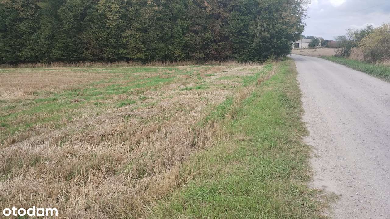 Działka budowlano-rolna nr 198/1, Trębaczów, Gmina Łęczna, 1,02 ha - Pełny obrazek: 5/8