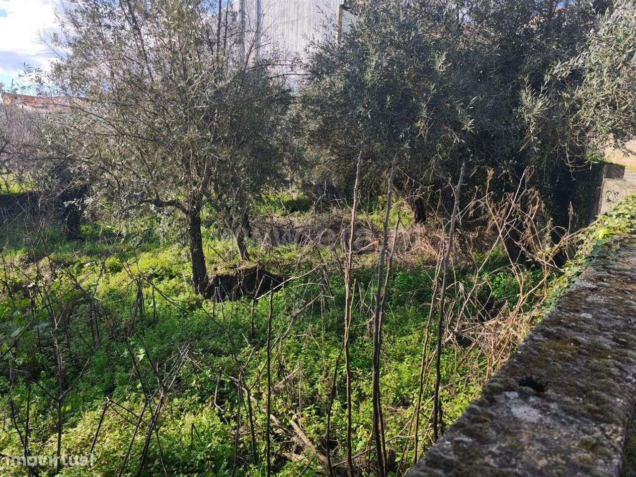 Terreno para Construção / Fundão, Souto da Casa - Grande imagem: 3/11