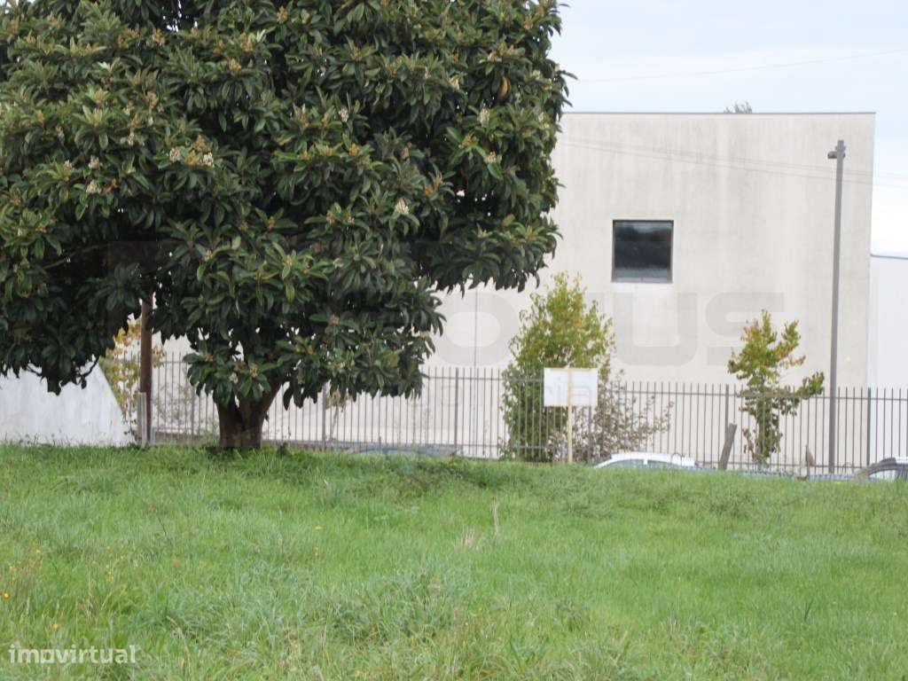 Terreno para venda junto á Escola Secundaria de Estarreja - Grande imagem: 4/14