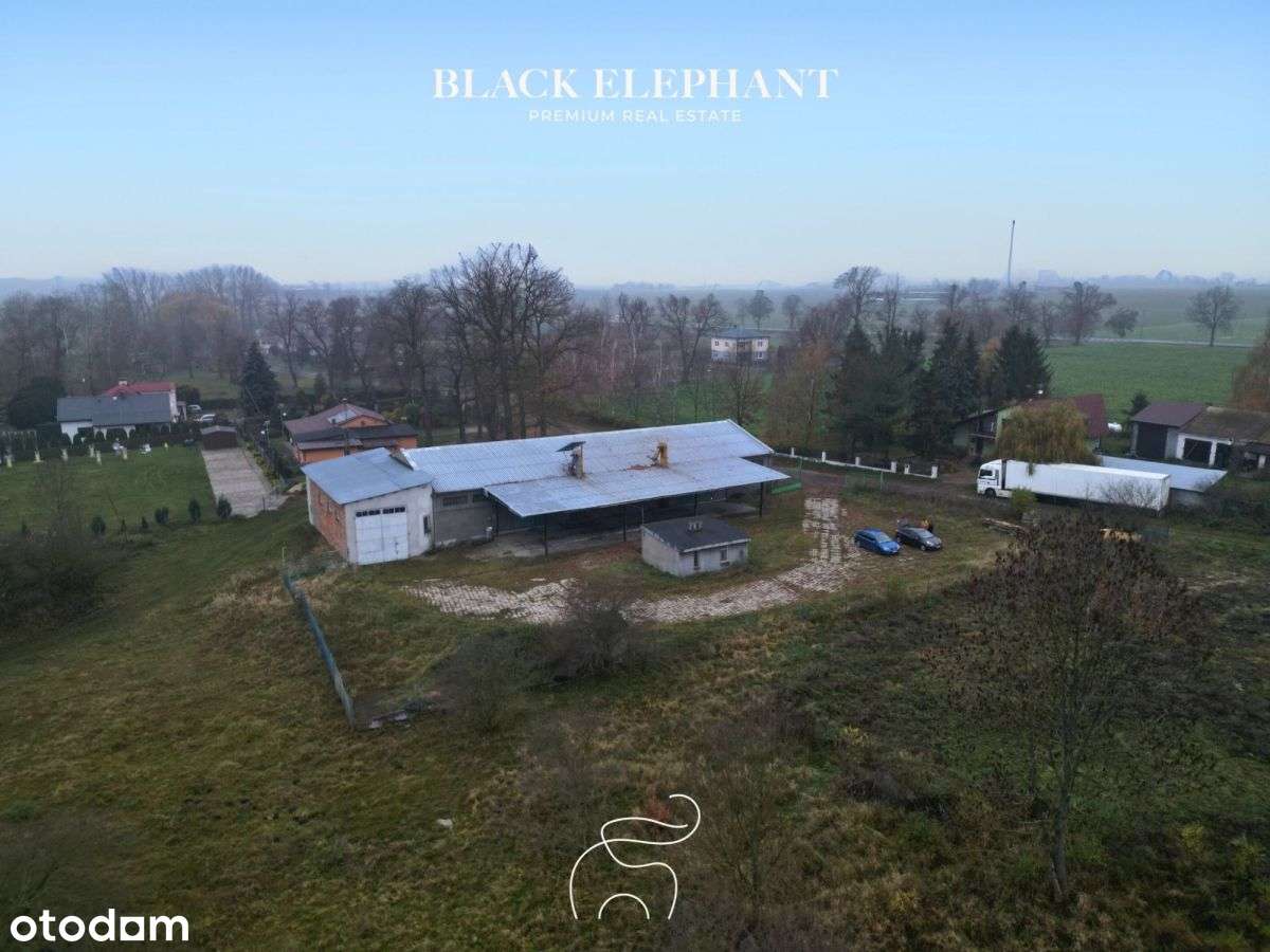 Hala magazynowo-produkcyjna z zapleczem biurowym - Pełny obrazek: 1/8