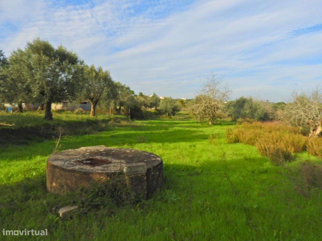Quintinha inserida em Terreno de 3012 m2 - Grande imagem: 4/14