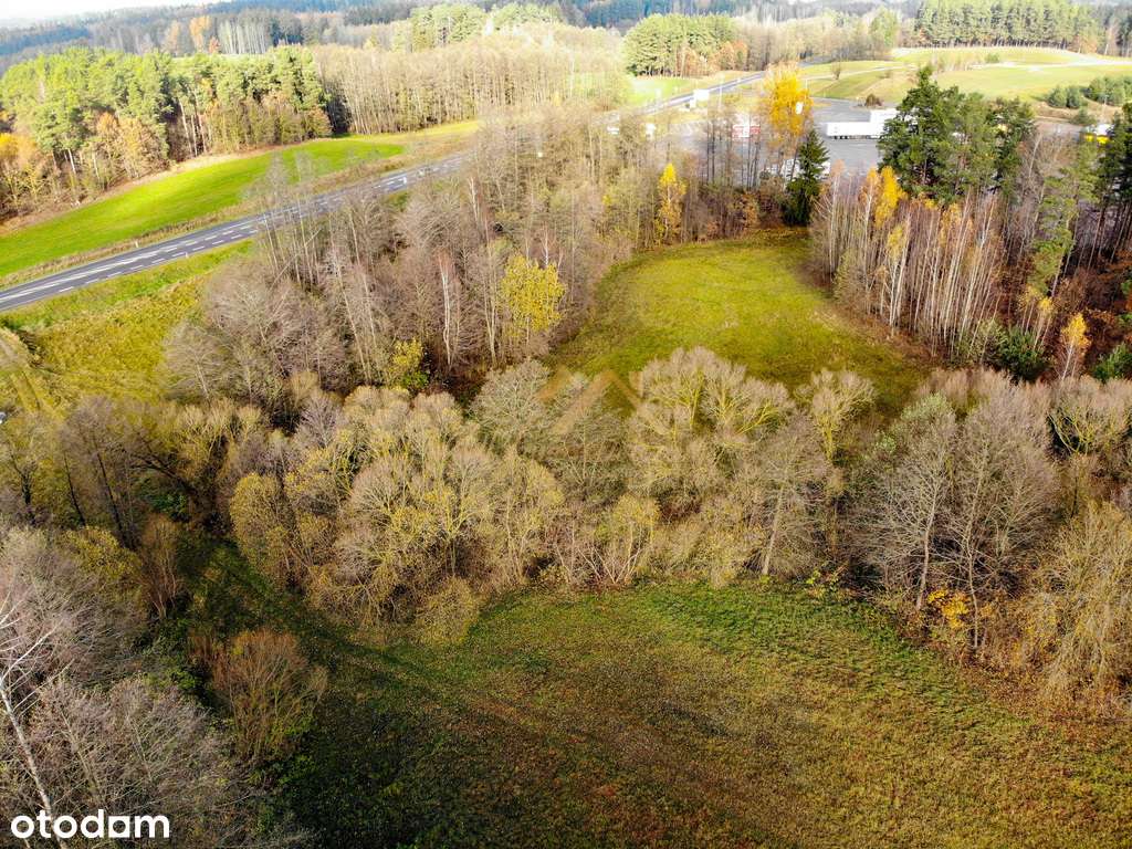 2.95 ha ze świetnym dojazdem - Słobódka-6
