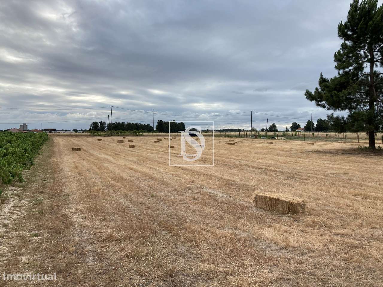 Terreno de 4.172 m² em Palmela | Ideal para Moradia | Zona Tranquila c - Grande imagem: 4/20