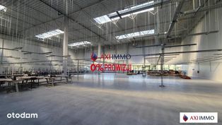 Magazyn pod produkcję 10.000 m2 Łódź Górna - Pełny obrazek: 2/6
