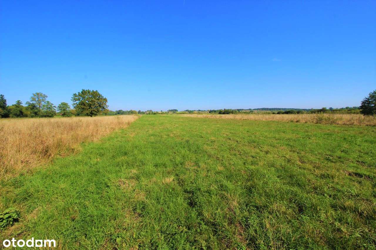 Dębina/Bochnia działki budowlane z MPZP regularne kształty SUPER CENA! - Pełny obrazek: 2/5