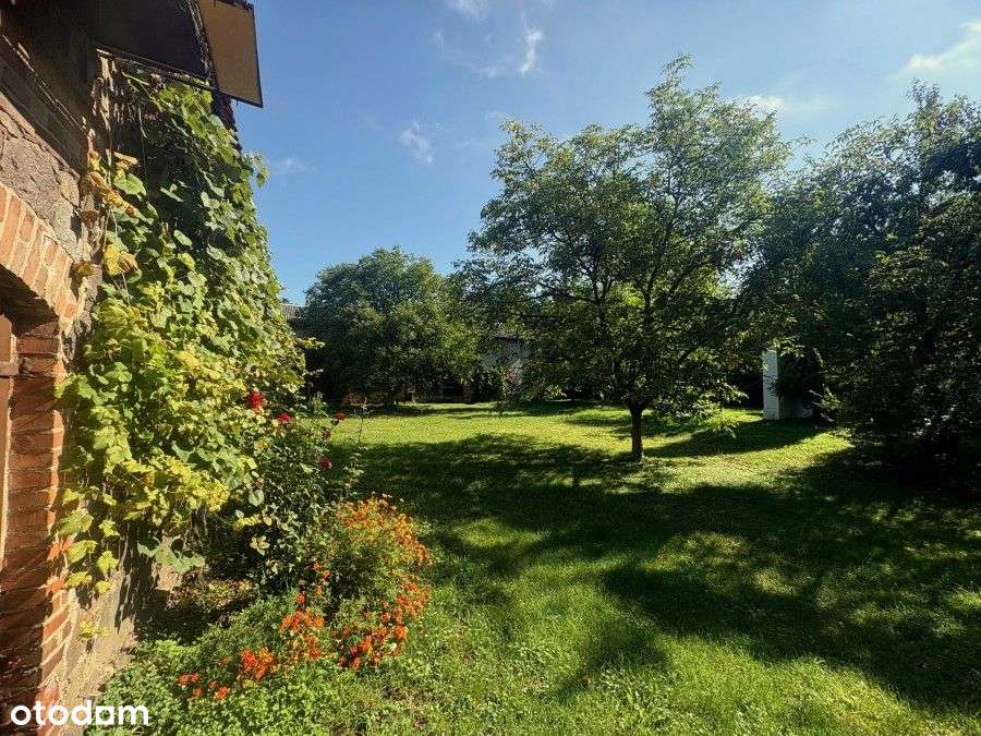 Dom, 290 m², Dolice - Pełny obrazek: 4/12