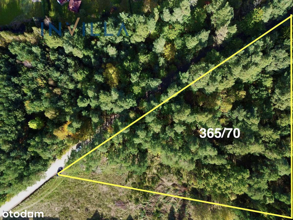 Działka leśna - Pełny obrazek: 4/6