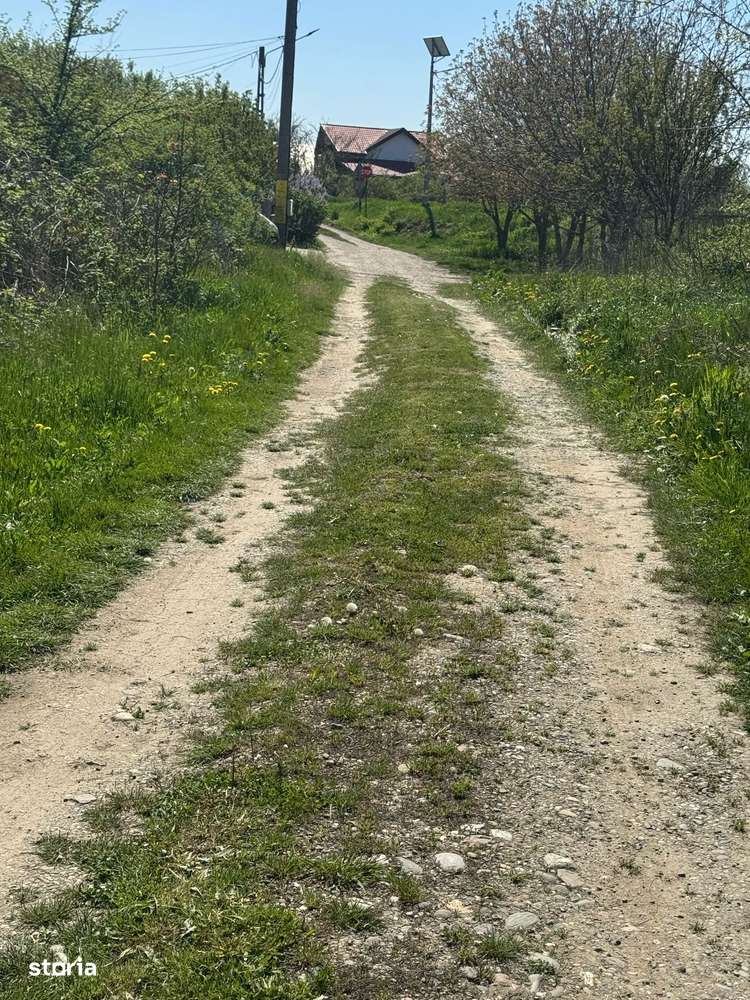 Urgent Vand teren Lilieci Hemiusi , ideial pentru investiti - Imagine principală: 4/11