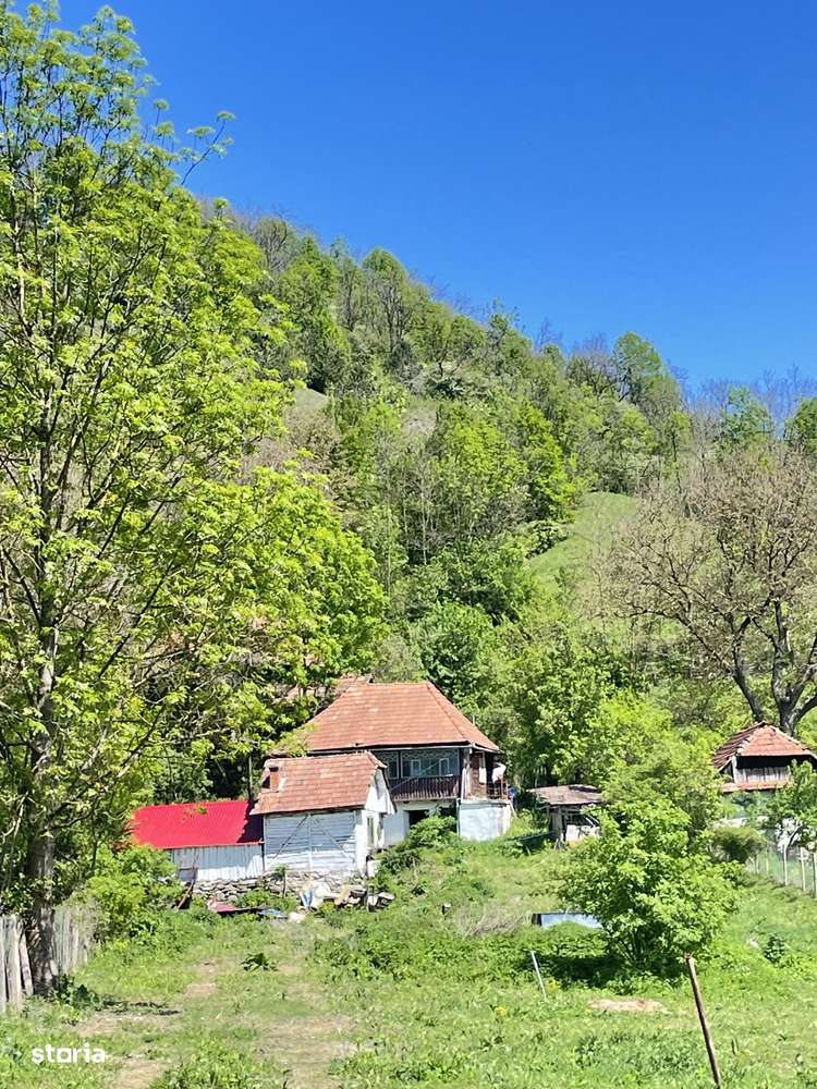 Casă rustică la țară, cabana. Ocoliș Alba. - Imagine principală: 4/19