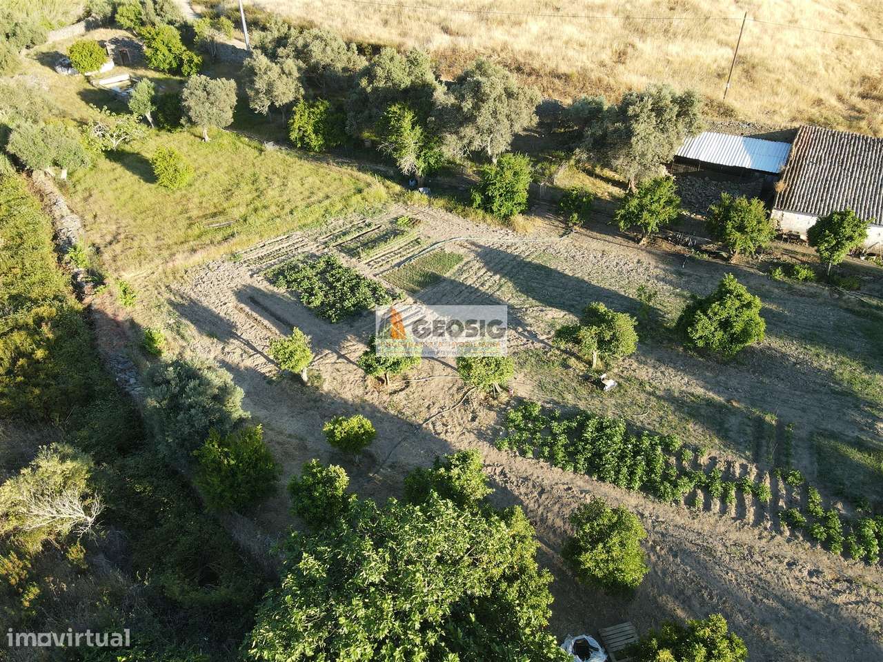 Quintinha T1 Venda em São Miguel do Pinheiro, São Pedro de Solis e São - Grande imagem: 4/16