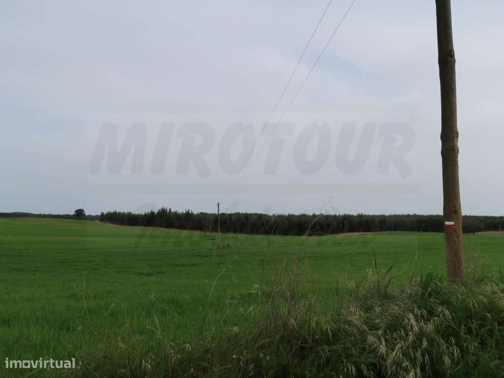 Quinta em excelente localização-28