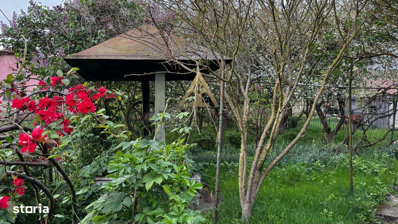 Teren de vanzare 8114 mp si  casa   in Coroisanmartin-Mures - Imagine principală: 3/8