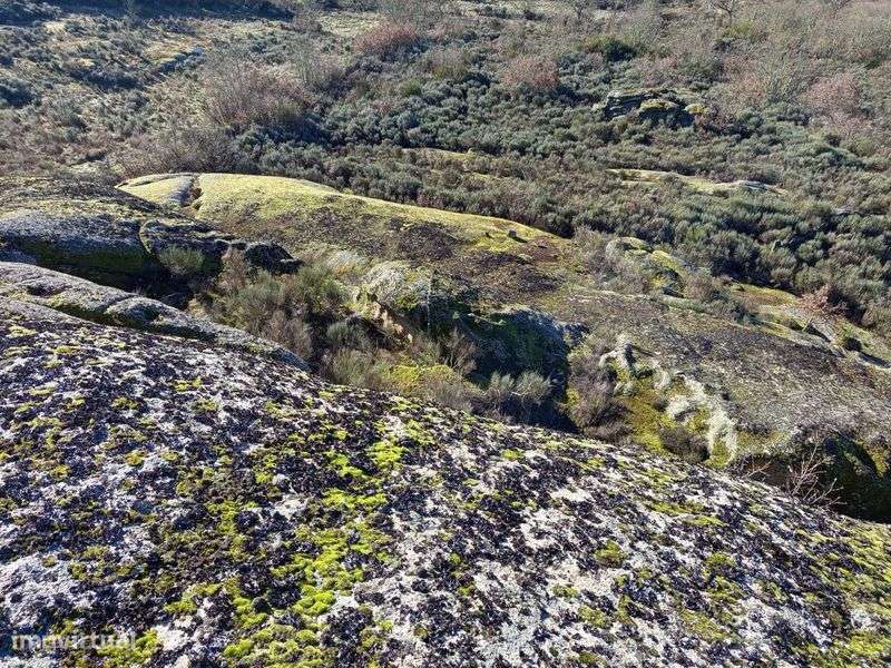 Terreno para exploração de granito - Grande imagem: 4/4