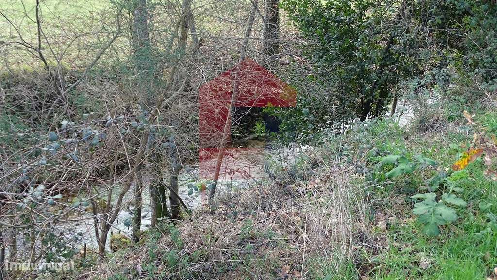 Vende-se Terreno, Godinhaços - Grande imagem: 4/8