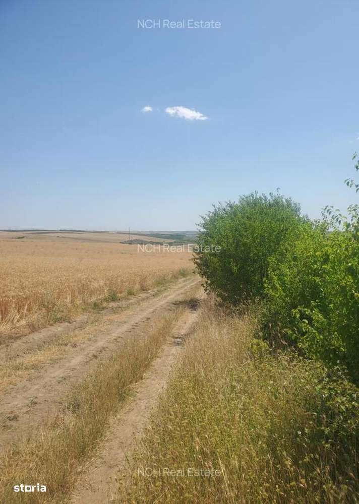 130 Ha comasat 100%, judetul Constanța - Imagine principală: 1/4