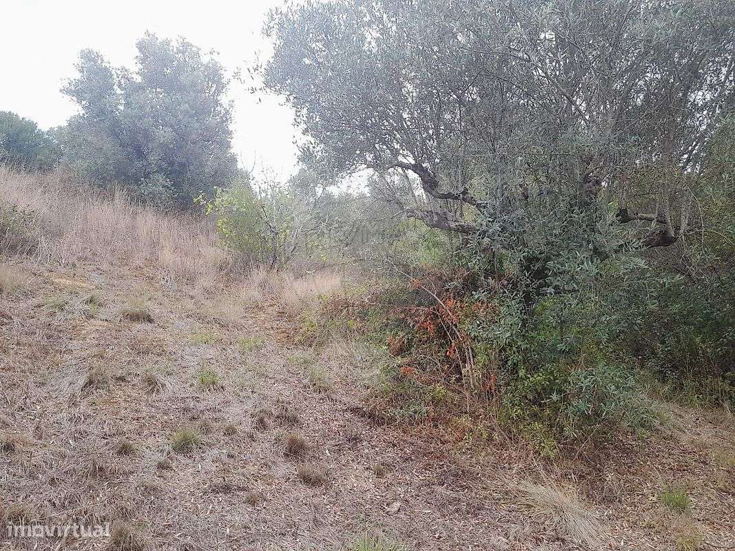 Terreno  para venda - Grande imagem: 2/7