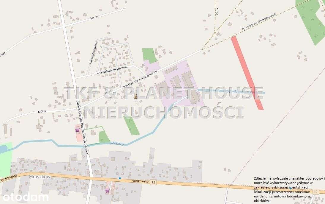 Działka 1ha na sprzedaż Mniszków - Pełny obrazek: 5/5