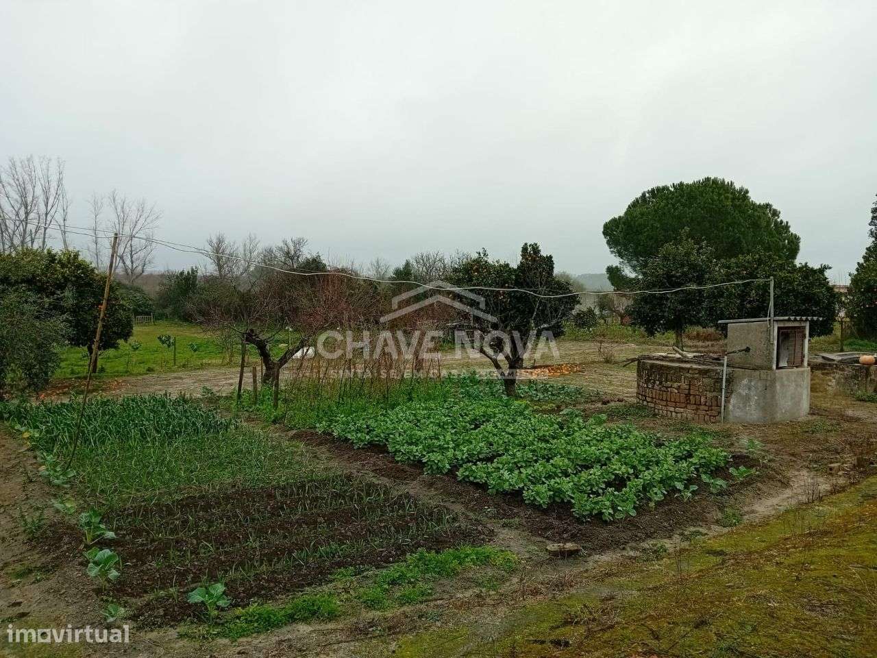 Uma verdadeira oportunidade, uma casa com 1,5 hectares de terreno.-8