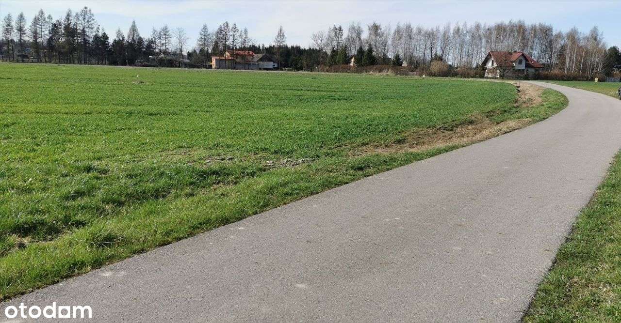 Sprzedam działkę 1933m2 Zaborze - Pełny obrazek: 4/8