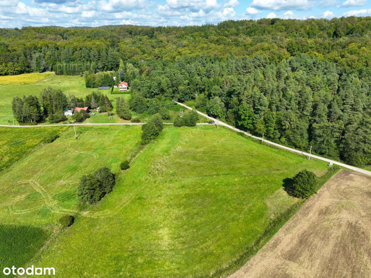 Działka 61,90 a, w Grabownicy Starzeńskiej. - Pełny obrazek: 4/5