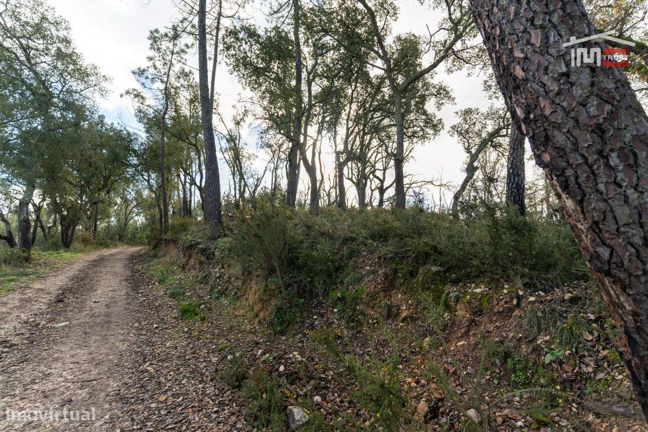 Terreno Rústico, Chainça - Grande imagem: 1/9