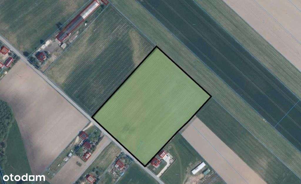 Grunty rolne na sprzedaż! - Pełny obrazek: 5/7