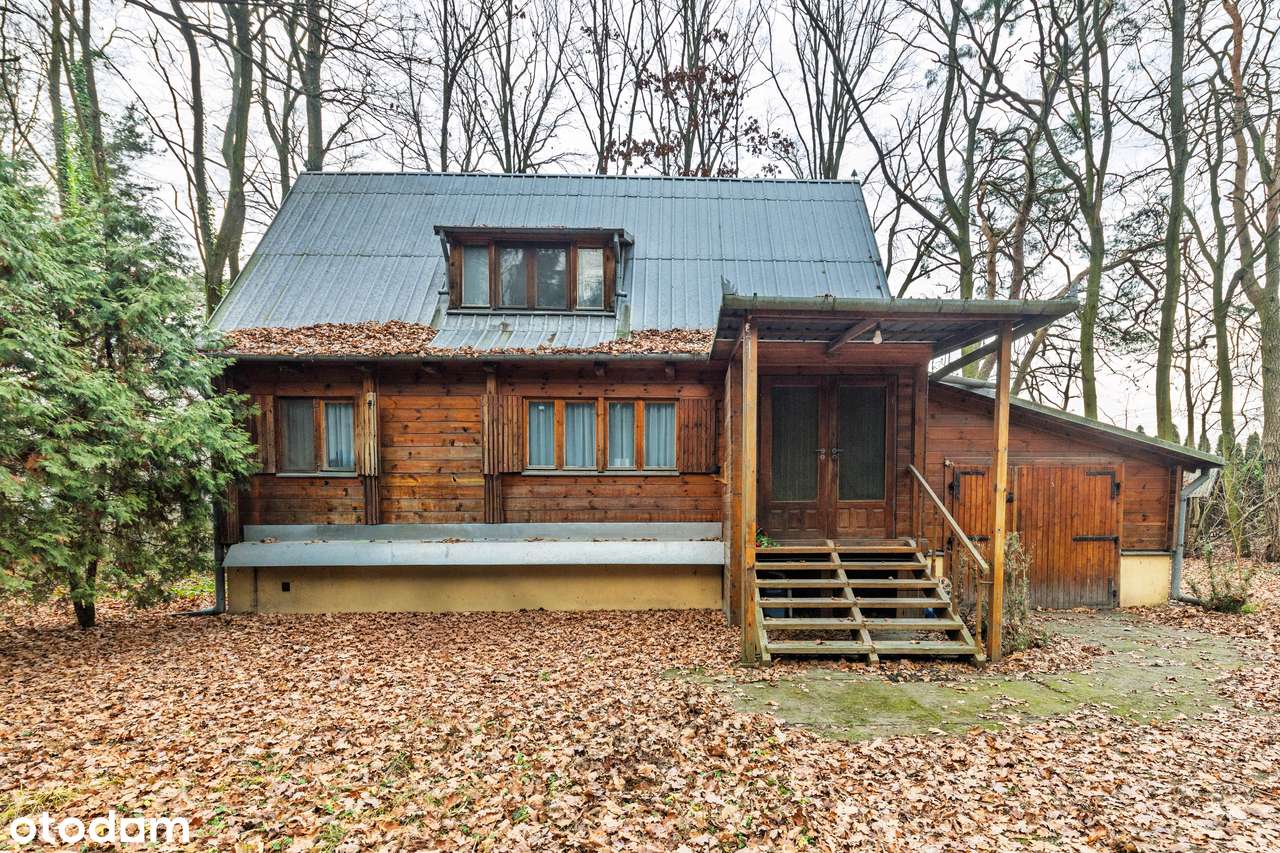 Działka, 3 119 m², Magdalenka-5