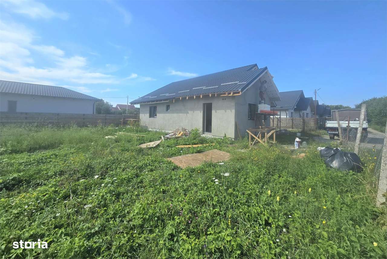 Casa single  3 camere D  Lunca Cetatuii - Imagine principală: 4/10