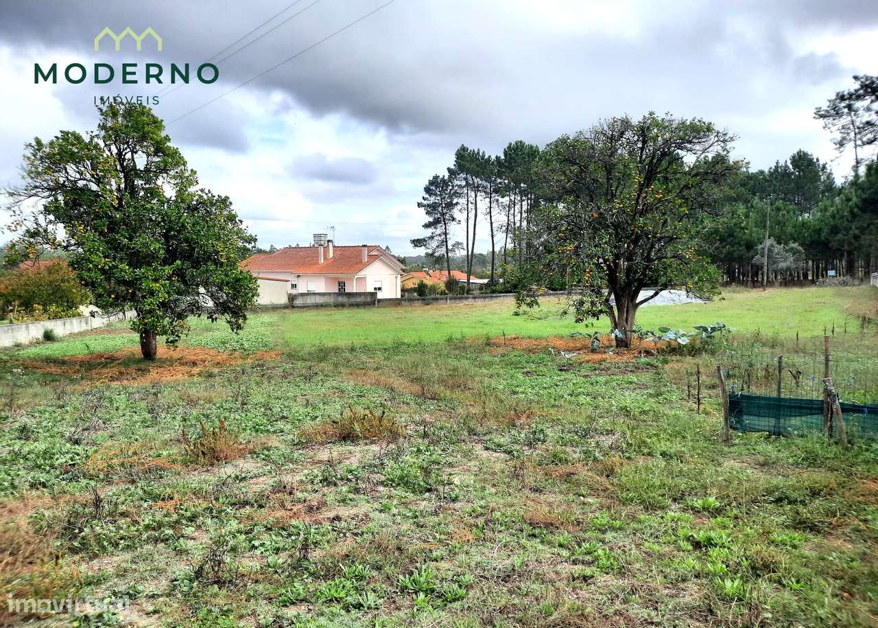 Terreno de Construção com 2 frentes de estrada - Ilha, Pombal - Grande imagem: 4/11