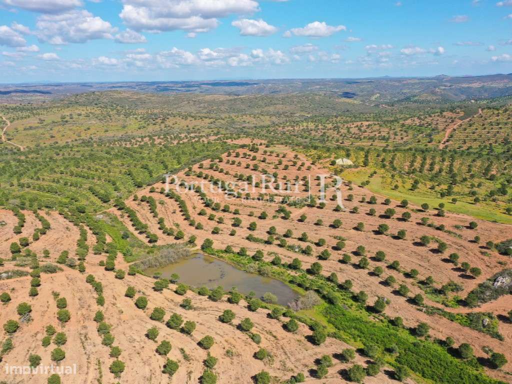Herdades de Caça com 1300 Hectares, junto do rio Guadiana-17
