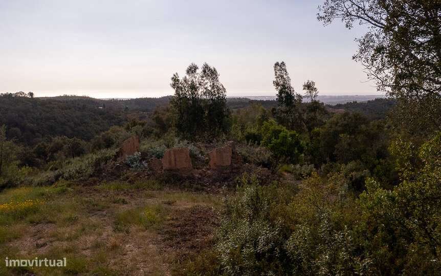 Quintinha Cercas do Pontal - Grande imagem: 4/7