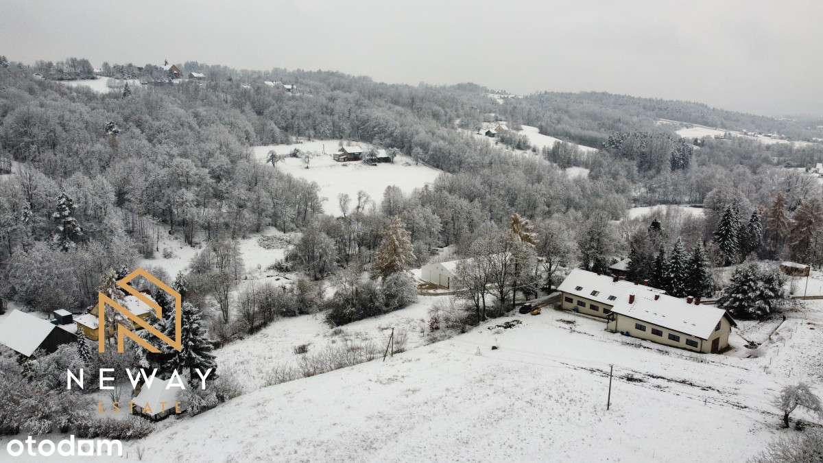 8 ar działka we Włosani - Pełny obrazek: 5/11