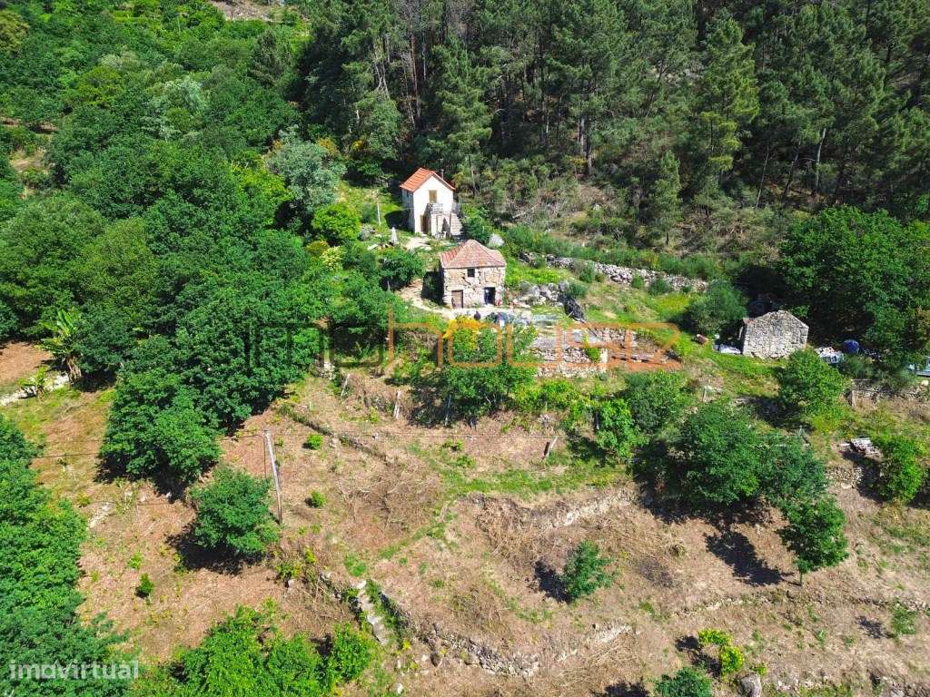 Quinta 2,6ha - Vista panorâmica e várias edificações-19