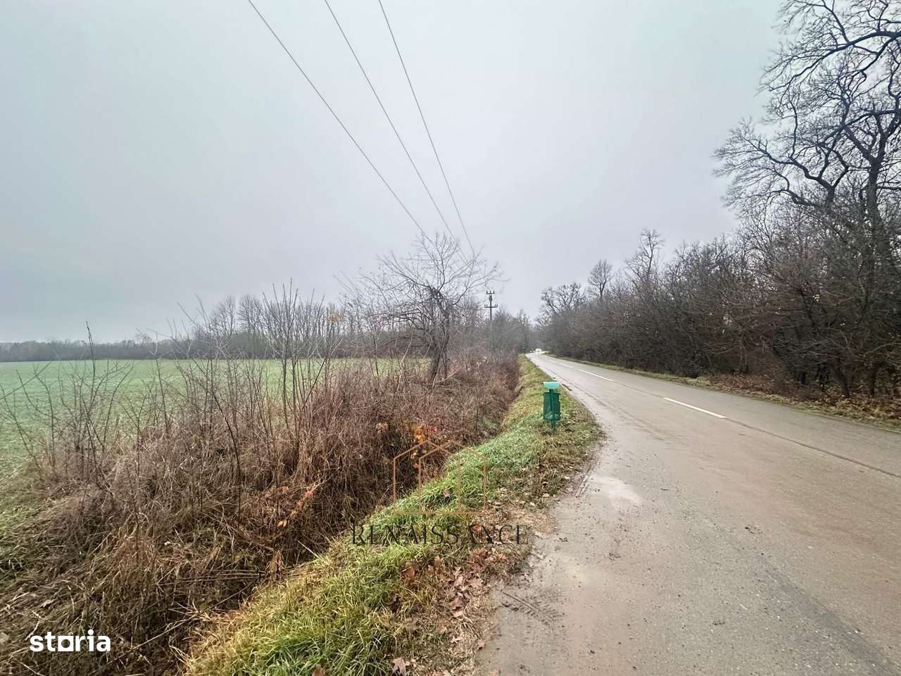 Giroc Teren 30.000mp PUZ APROBAT Pentru Case | Asfalt - Langa Padure - Imagine principală: 5/7