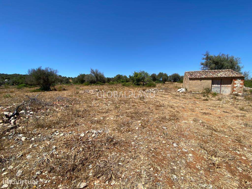 Fantástico terreno rural com viabilidade de construção - Grande imagem: 2/7