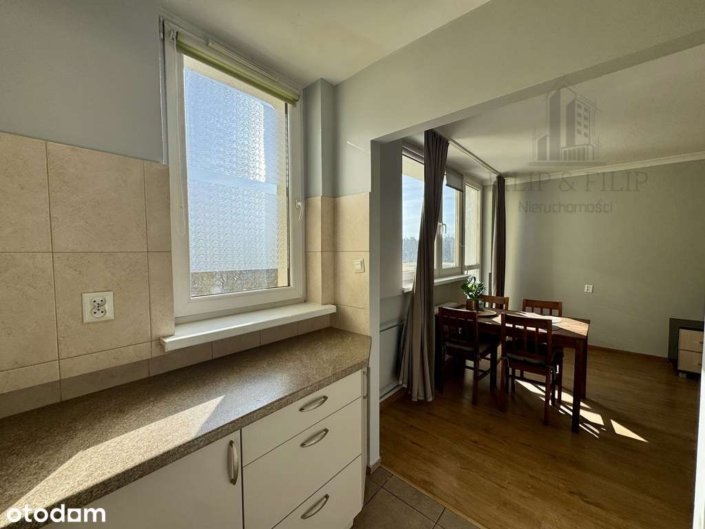 Kompaktowa kawalerka-Blisko UMK i starego miasta-4