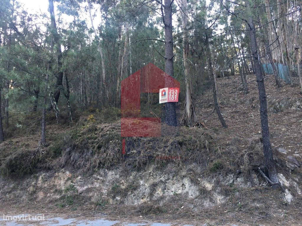 Terreno, Escariz S. Mamede