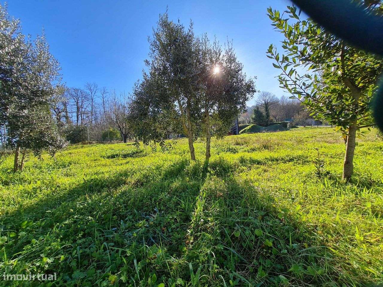 Terreno S. Salvador - Grande imagem: 3/9