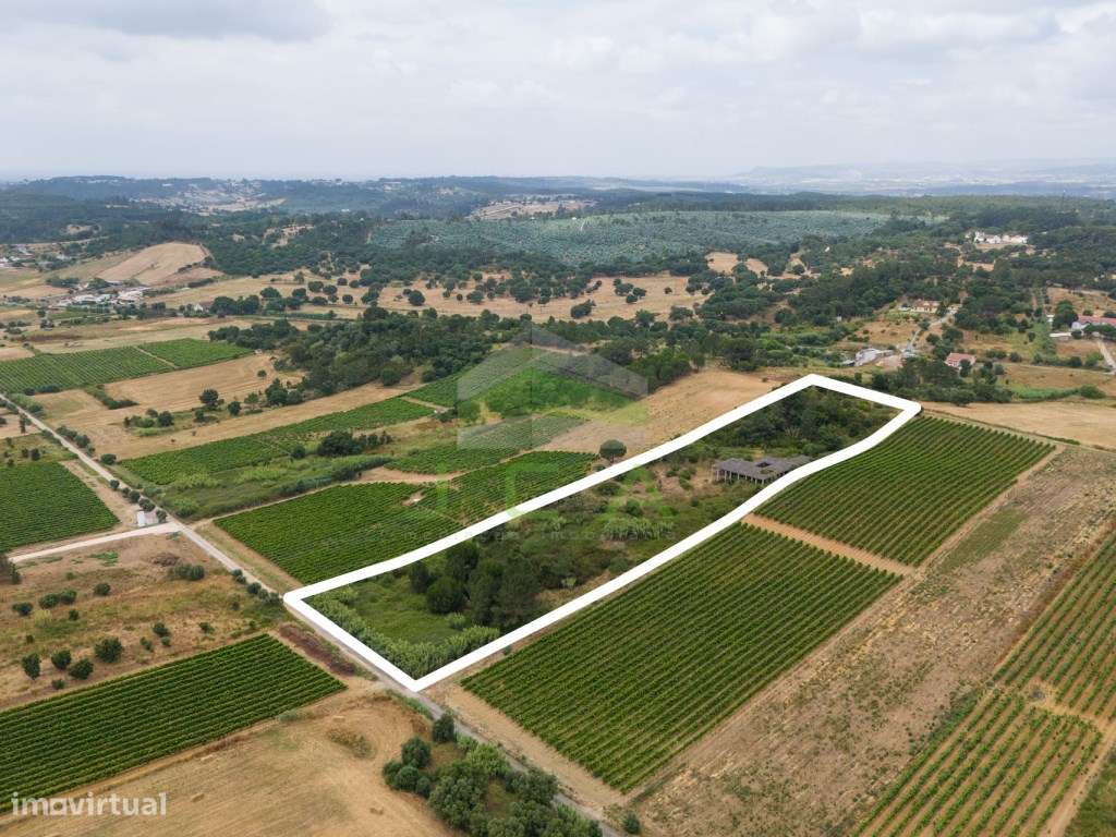 Terreno com 15.840m2 em Aveiras de Cima-5