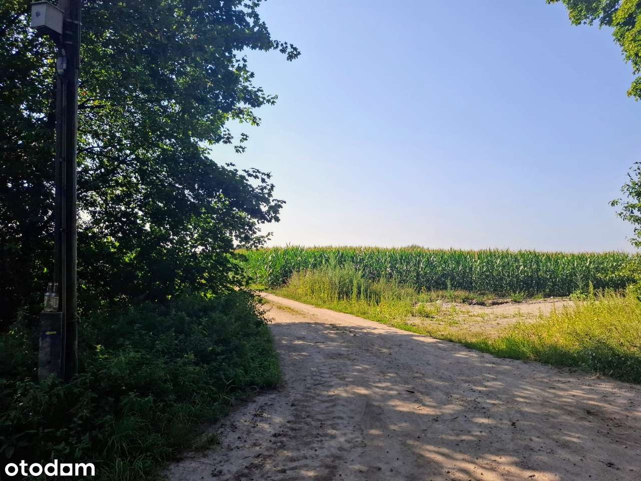 Działka budowlana, Boguszyce, 5 minut od Oleśnicy, dobry dojazd - Pełny obrazek: 3/10