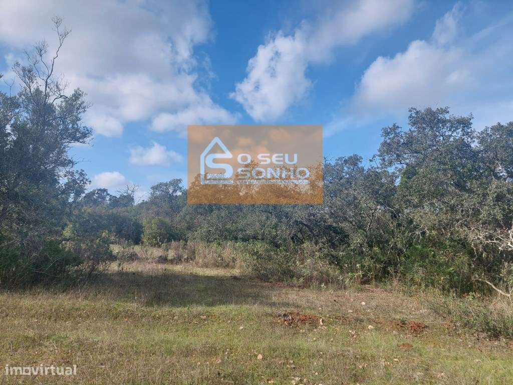 Terreno Rústico com 13.600 m² - Grande imagem: 2/11