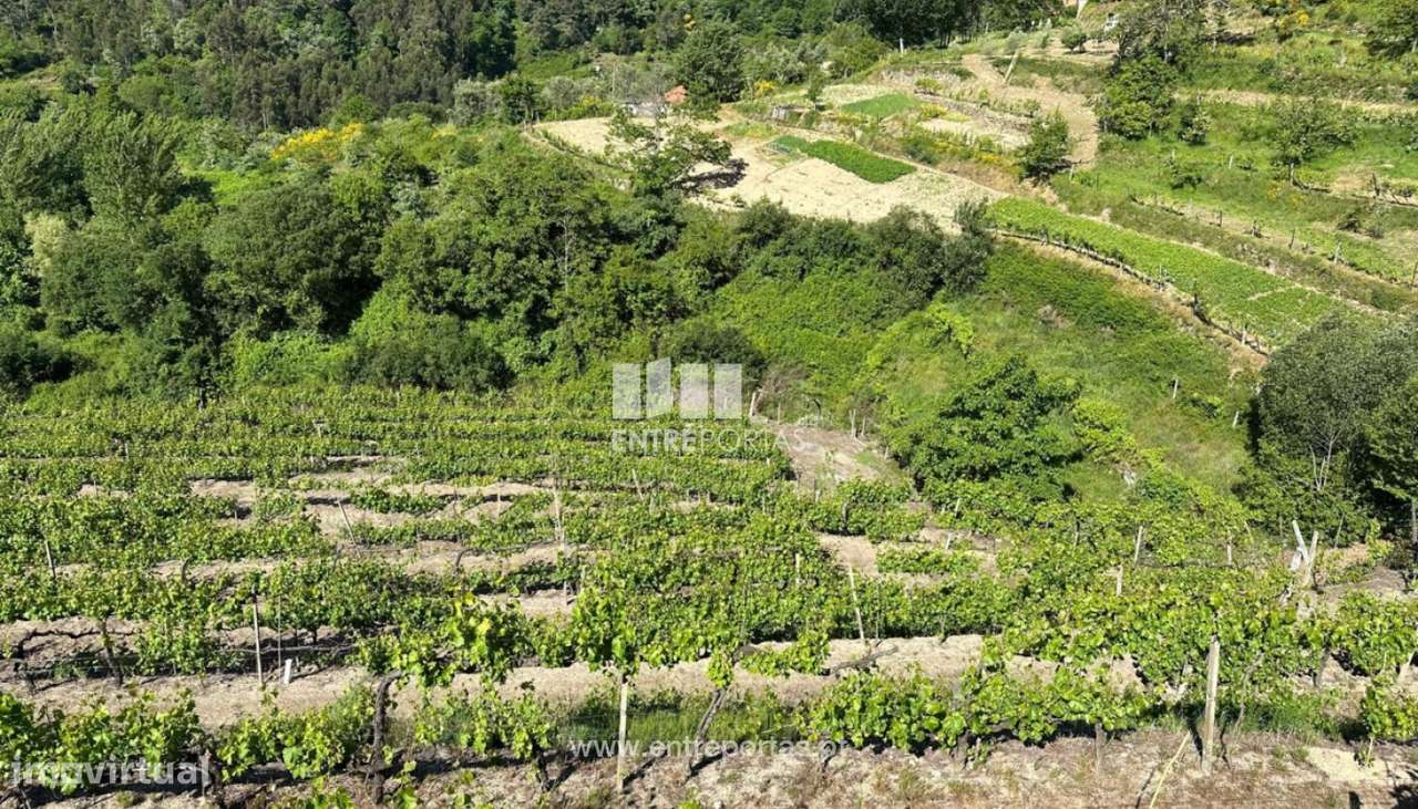 Venda Terreno, Sta. Marinha do Zêzere, Baião - Grande imagem: 4/27